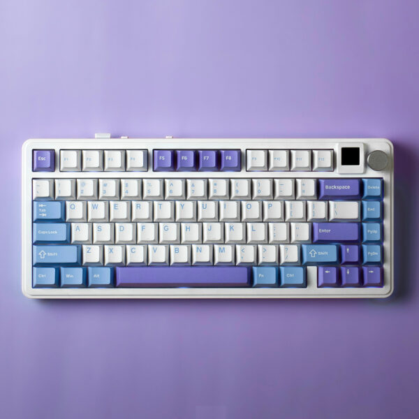 SAMA XINMENG M75 Pro TFT Display Tri-Mode Gasket Mechanical Keyboard - White Blue - Rocket Racoon